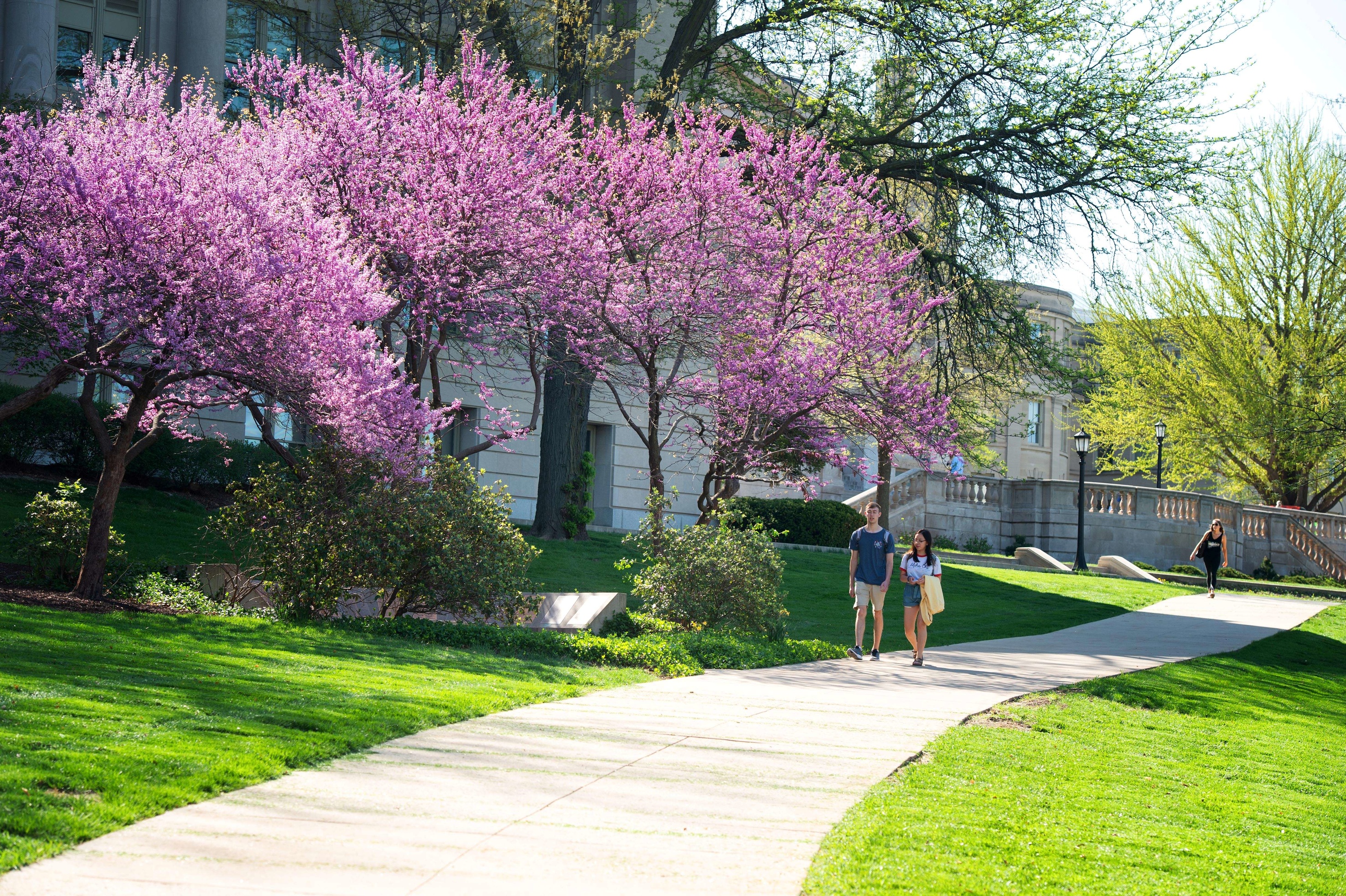 Students walk in front of Macbride Hall on a warm spring day