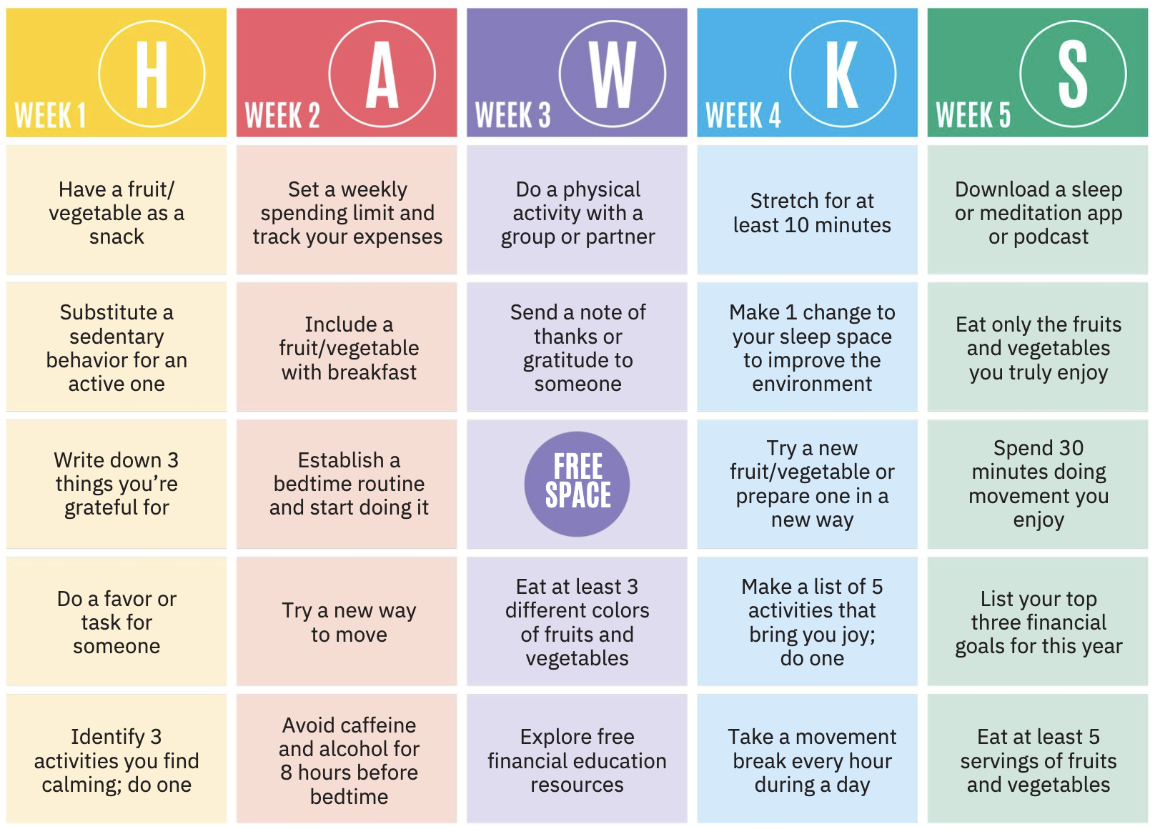 BinGO HAWKS scorecard