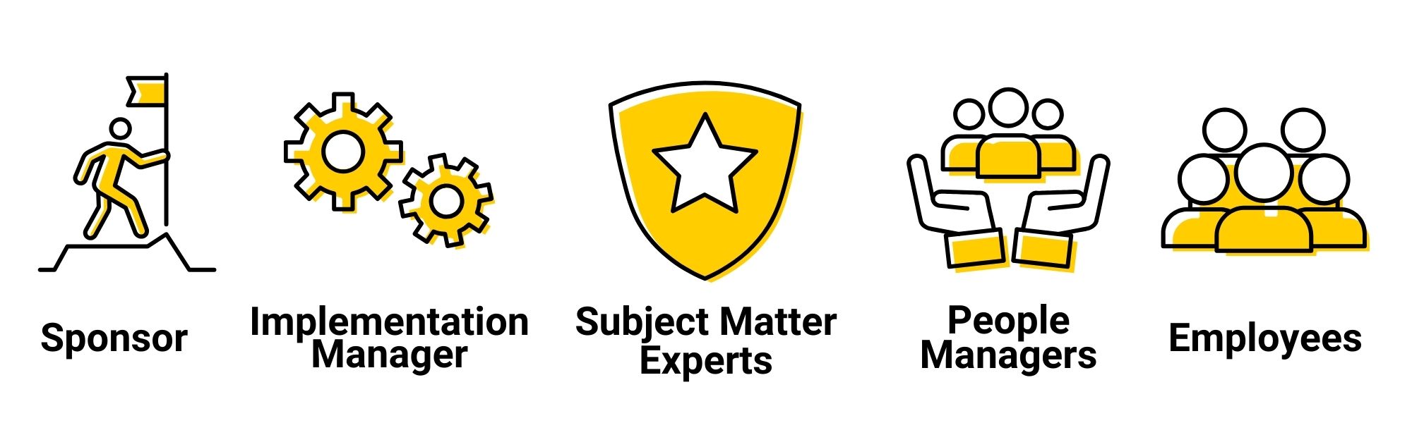 Sponsor, Implementation manager, Subject Matter Experts, People Managers, Employees
