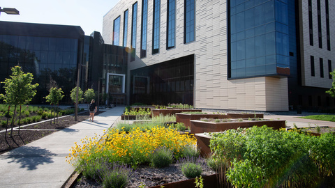 Pharmacy Garden