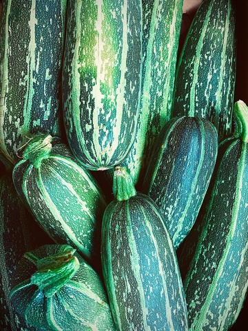 several dark green striped zucchinis