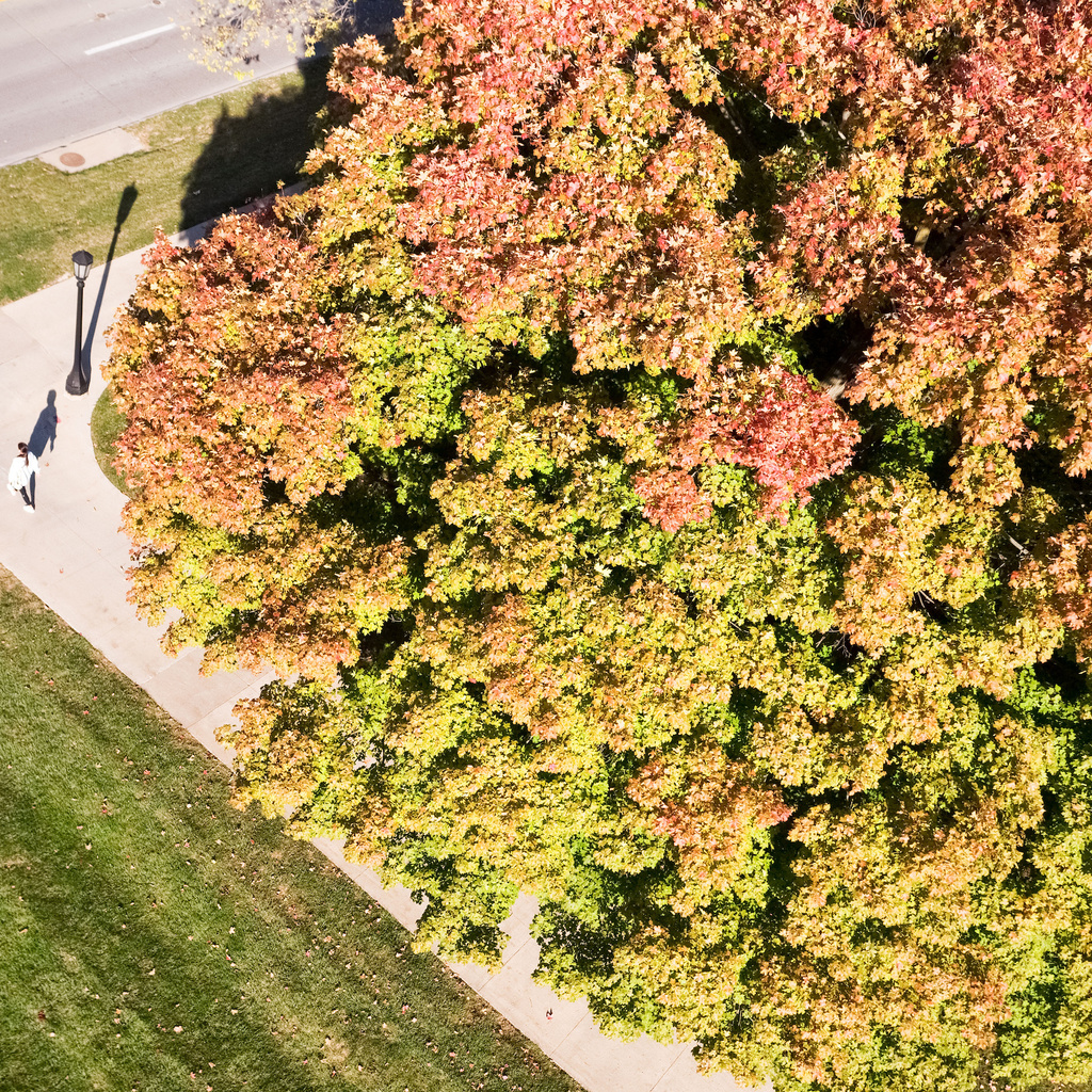 pentacrest drone image