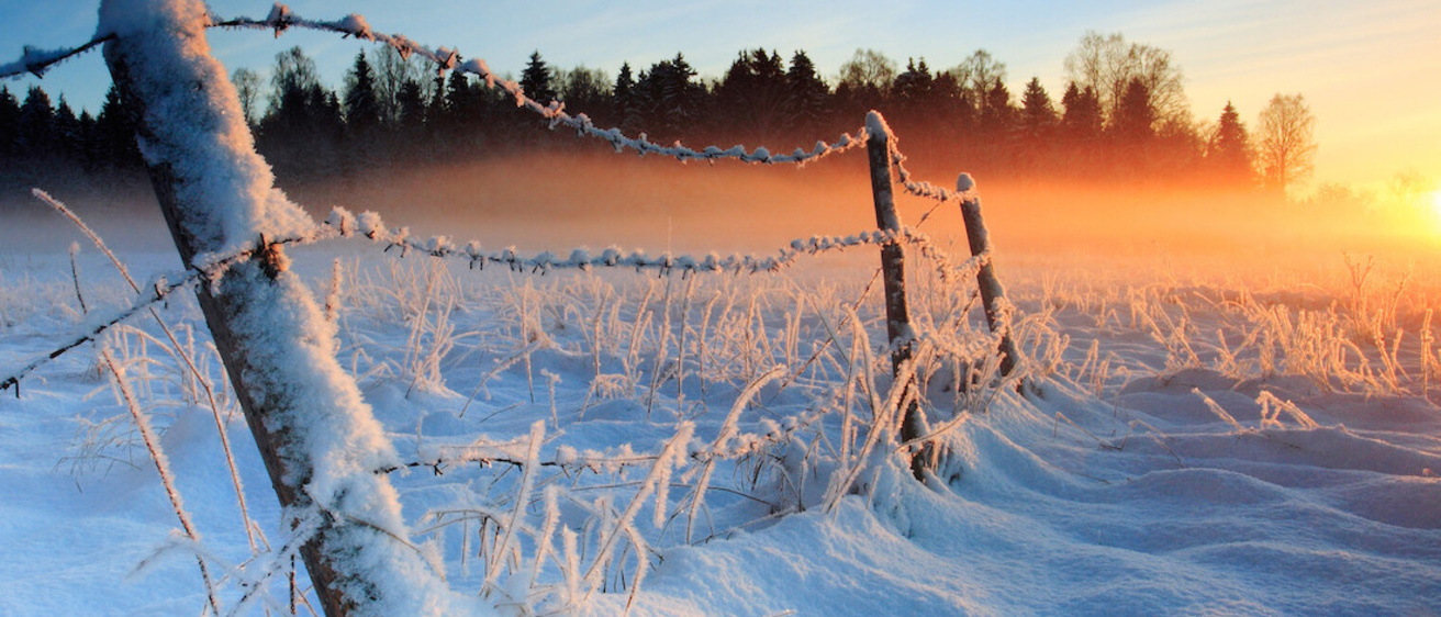 Fence covered in snow with trees and sunset in the distance.