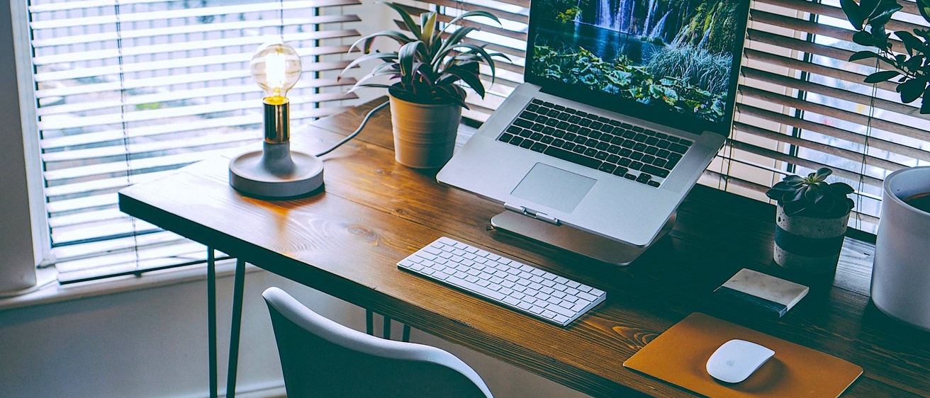 Laptop computer, plants, and lamp on desk in home office