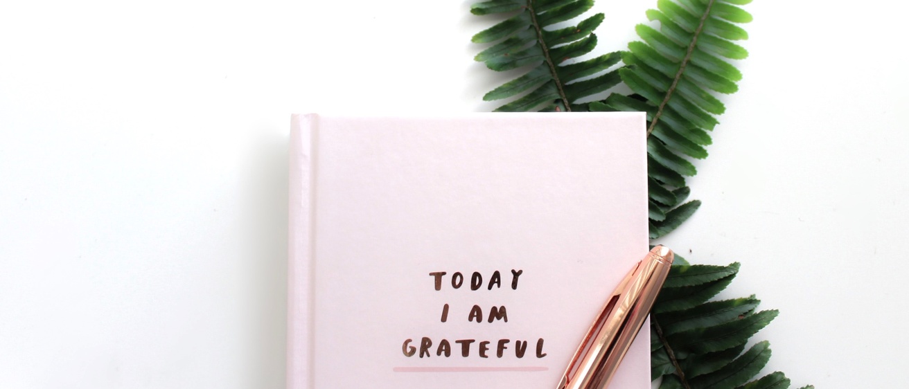Gratitude journal with text "Today I am Grateful" on cover, pen, against two fern leaves and white background.