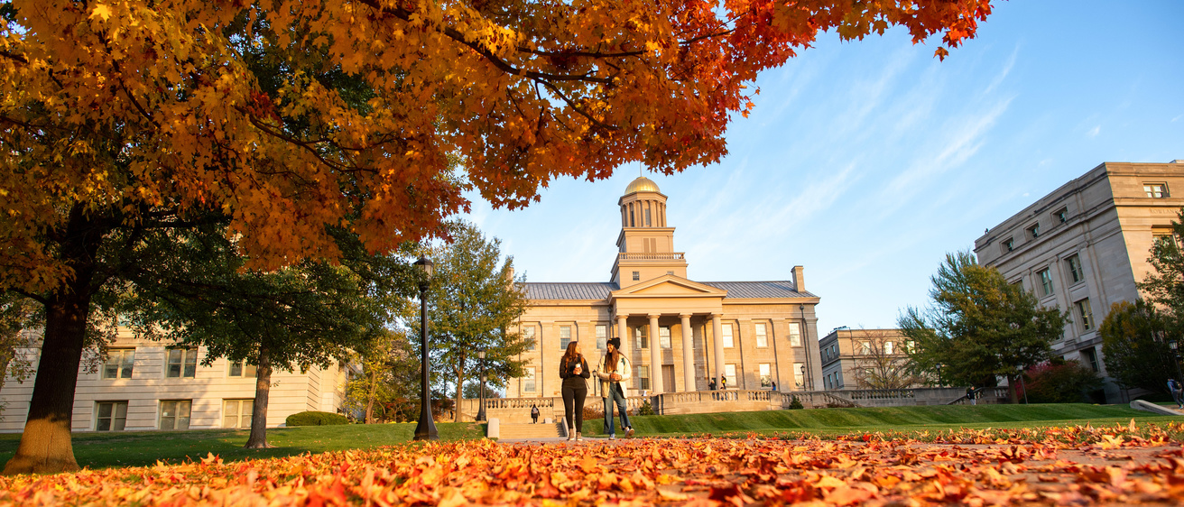 Autumn leaves on campus