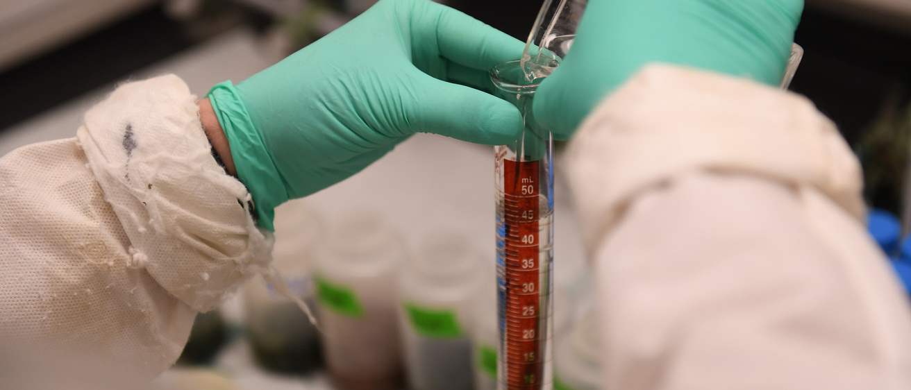 Image of a scientist holding a test tube