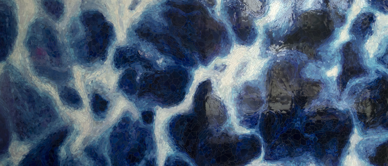 photo of art entitled The Brain in the Mirror