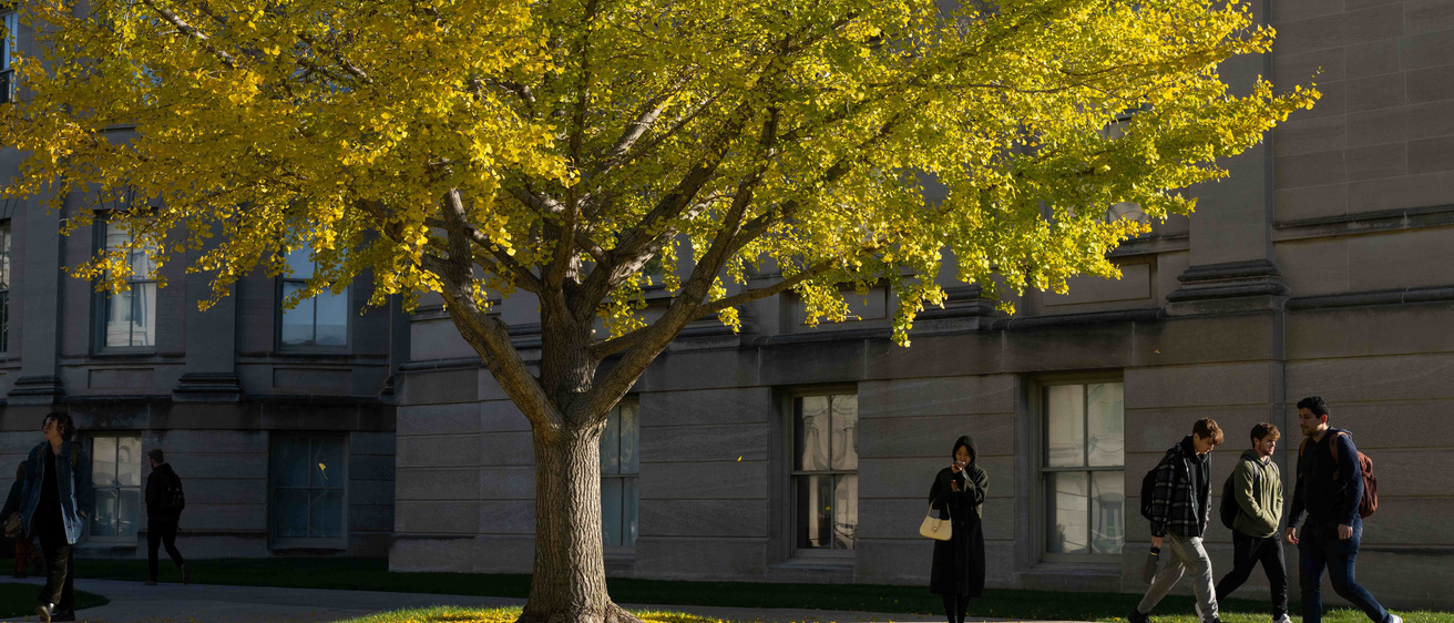 2023_10_30-Ginkgo Leaves Falling-tschoon