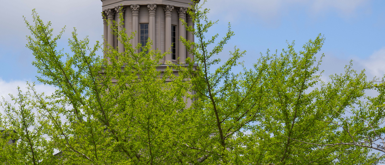 Spring on campus
