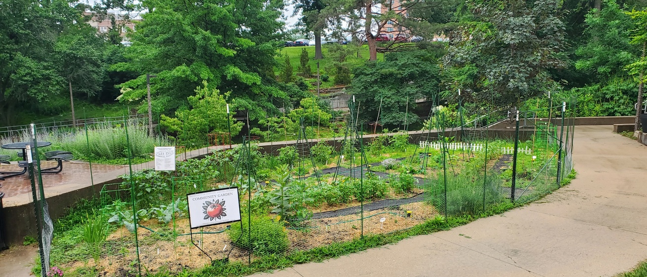 ACB garden