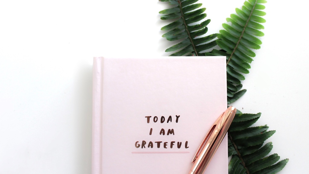 Gratitude journal with text "Today I am Grateful" on cover, pen, against two fern leaves and white background.