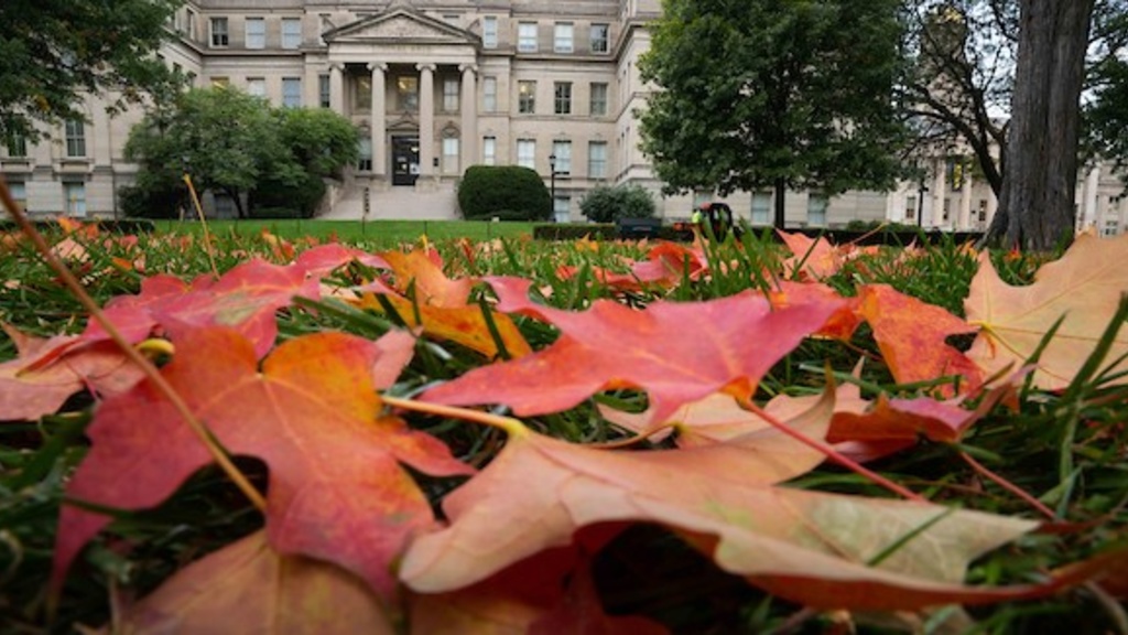 Fall leaves in front of building. 