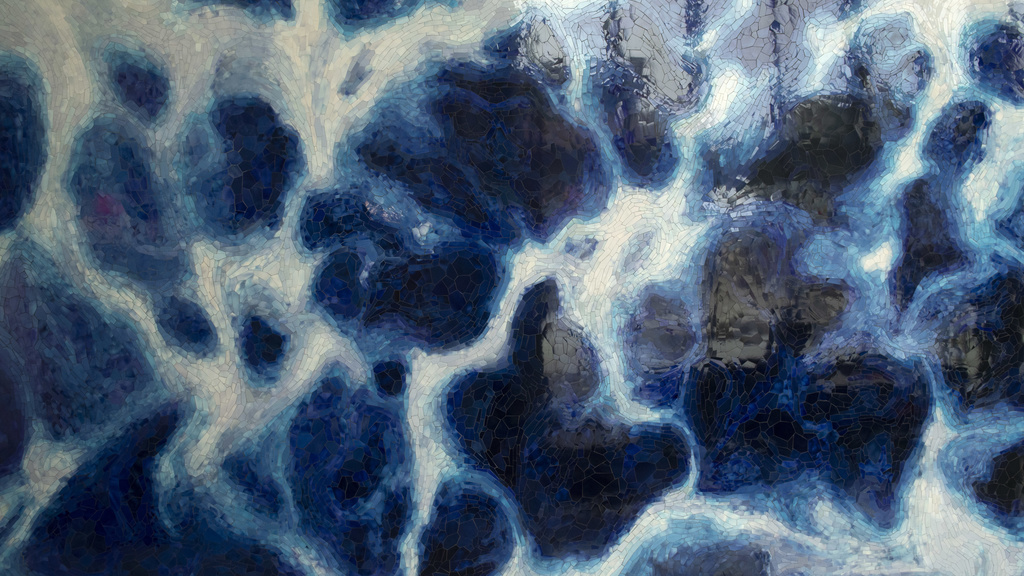 photo of art entitled The Brain in the Mirror
