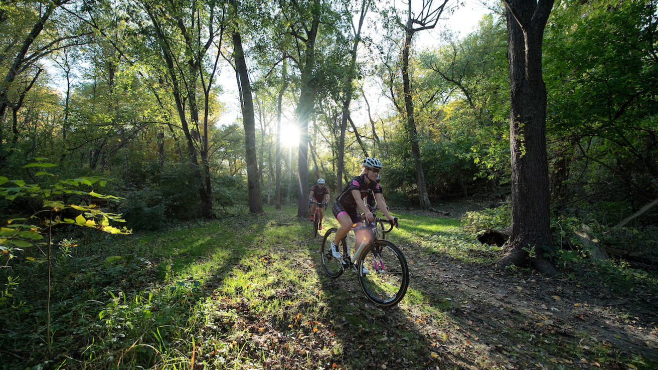 sunlight through green trees in woods behind group of people on bikes