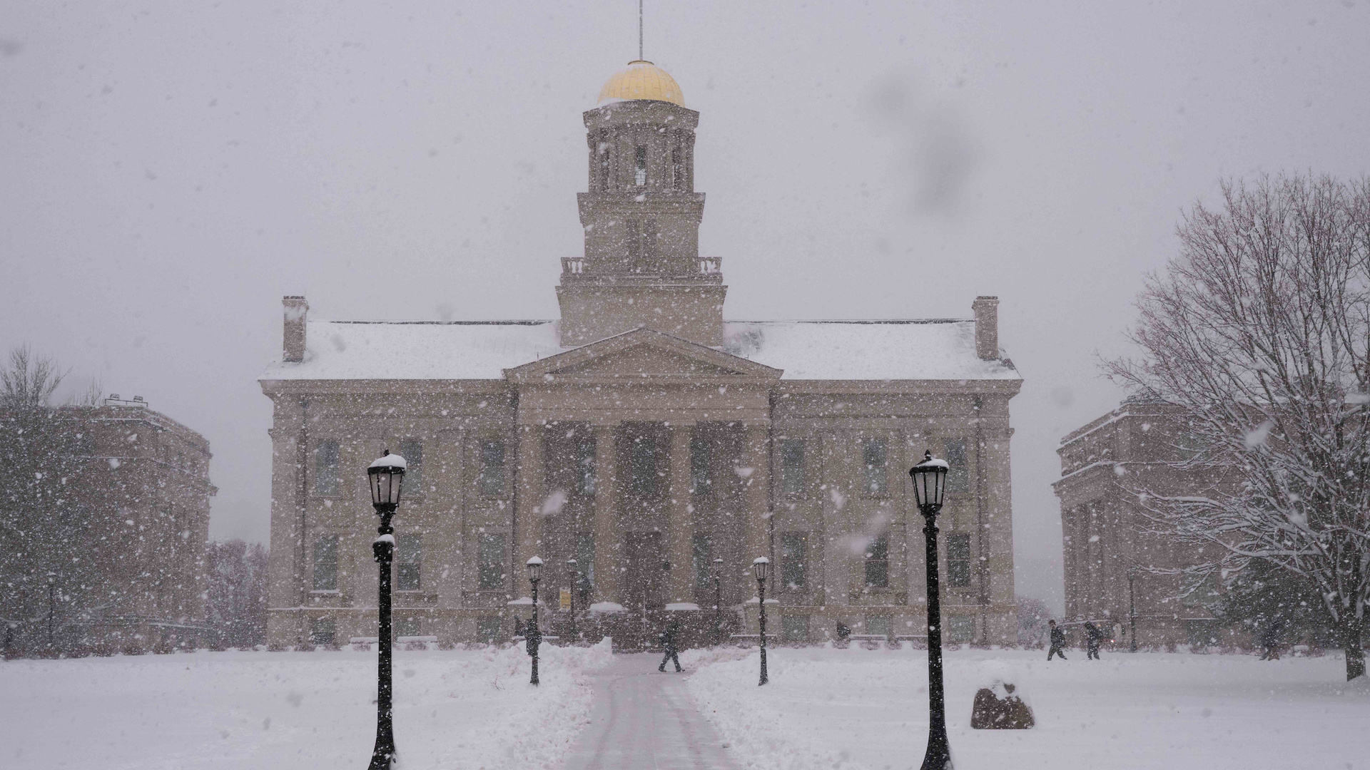 Payroll Services University Human Resources The University of Iowa